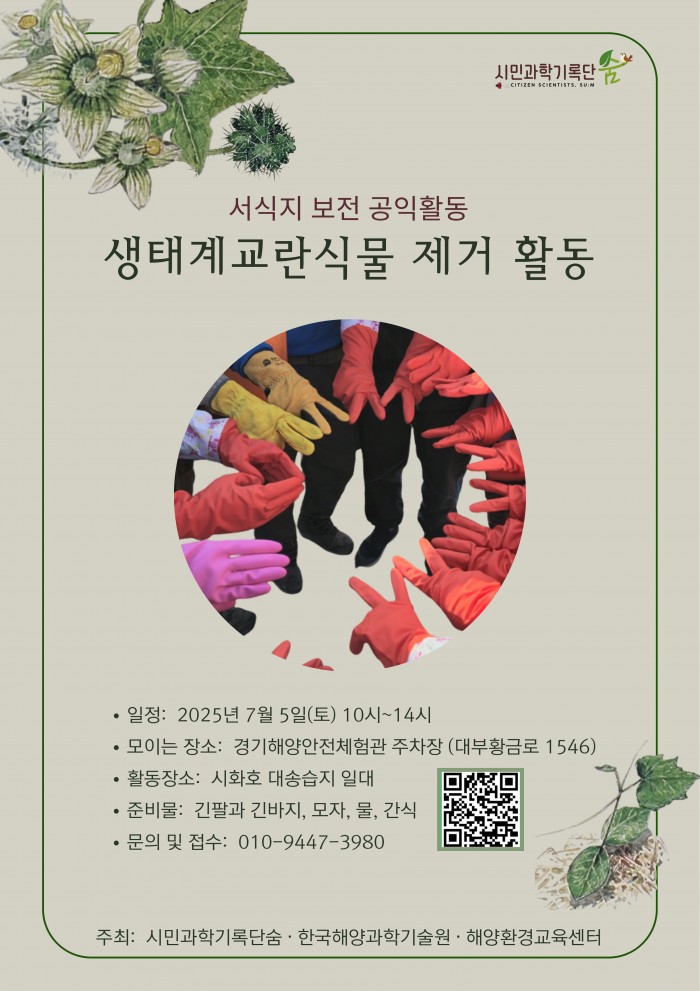 생태계 교란식물 제거 활동